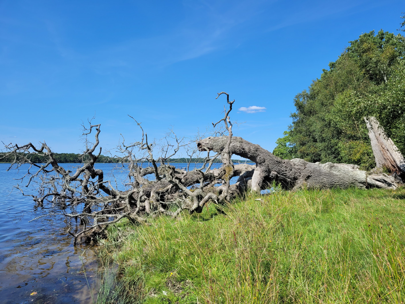 Naturrådgivning huvudbild